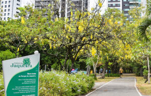Parques em Recife